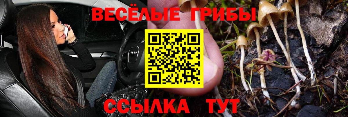 Галлюциногенные грибы Psilocybine cubensis  Вход с VPN  Галлюциногенные грибы ЛСД  Ханты-Мансийск 